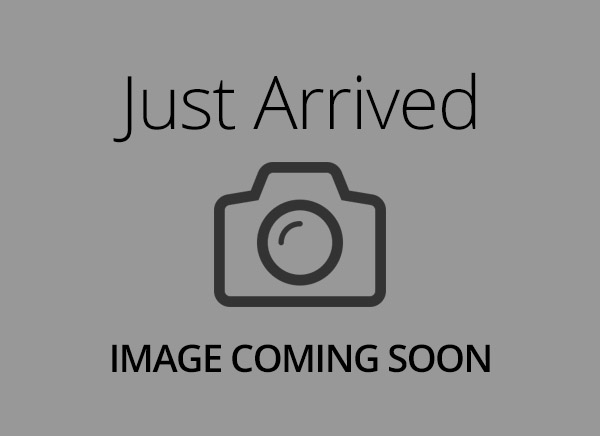Cavalier King Charles Spaniel – 4011