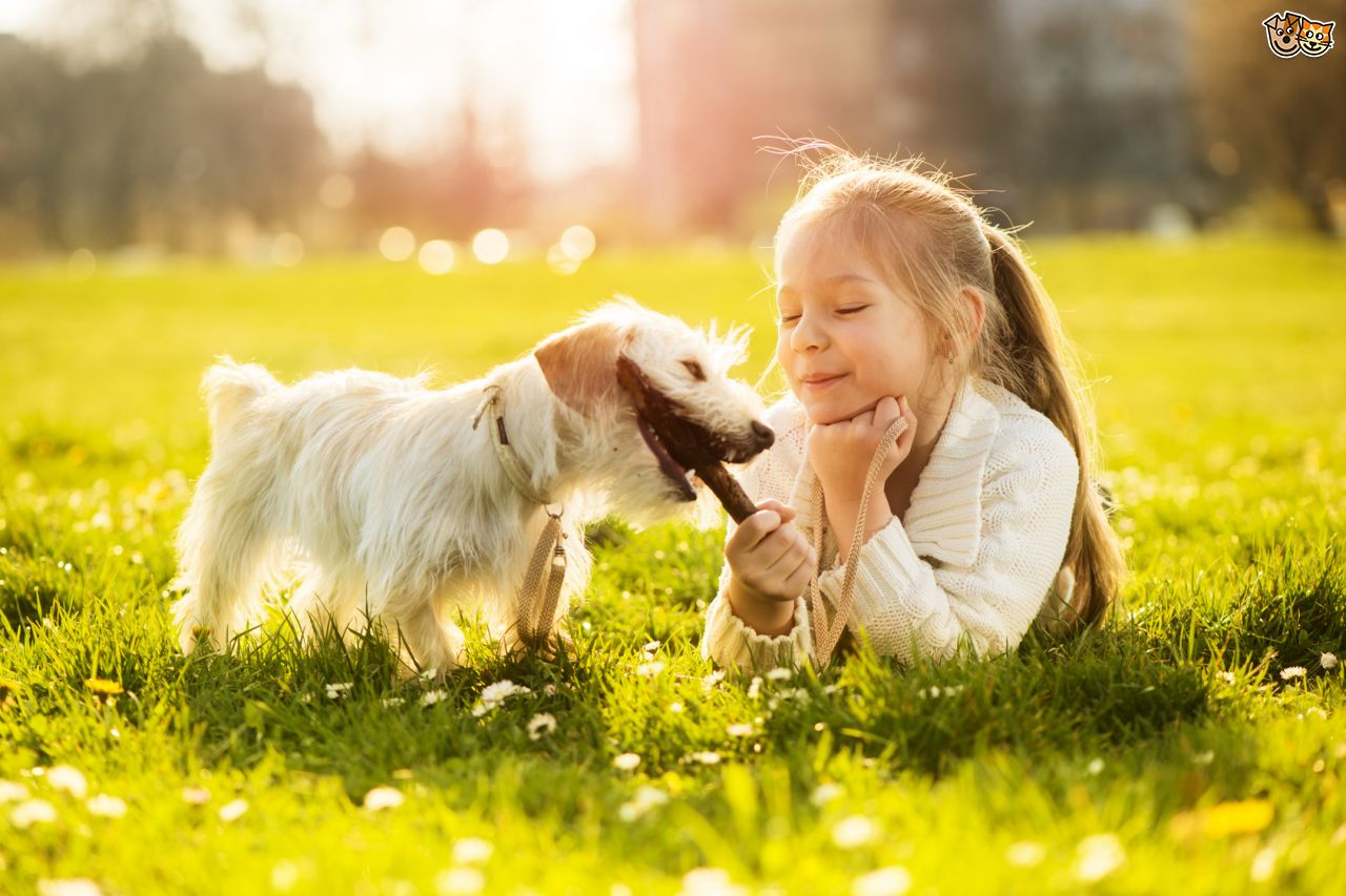 Puppies and Kids, 7 Undeniable Reasons Pups Are a Healthy Part of a Child’s Development