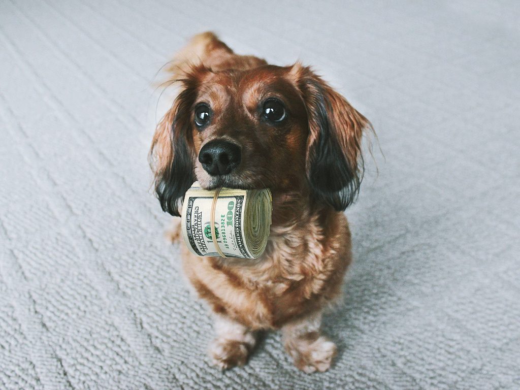 Barks Don’t Have To Break The Bank