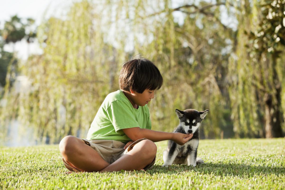 3 Ways Owning a Dog Can Benefit Your Life
