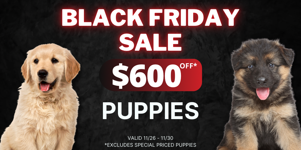 petcenter nj black friday sale