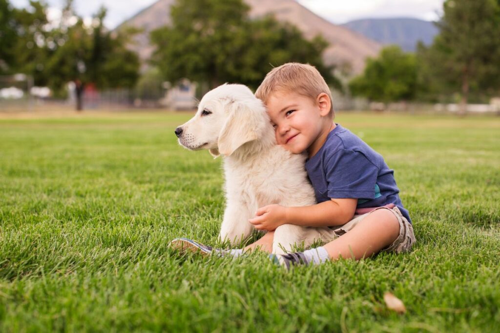 PetCenter: The Trusted Choice for Ethically Bred Puppies and Your Family’s Next Companion